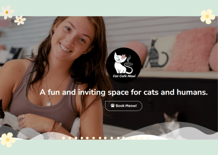 Cat Cafe Maui: Where Feline Friends and Coffee Collide